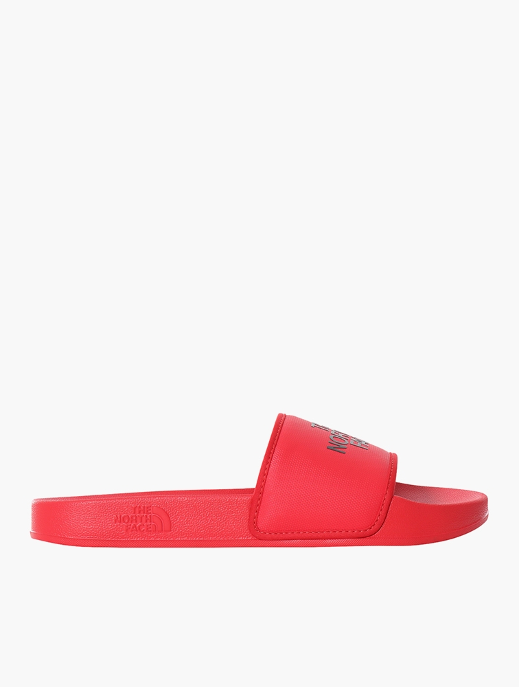 Tnf slides 2025